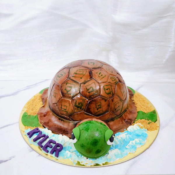 3D Sea Turtle Cake