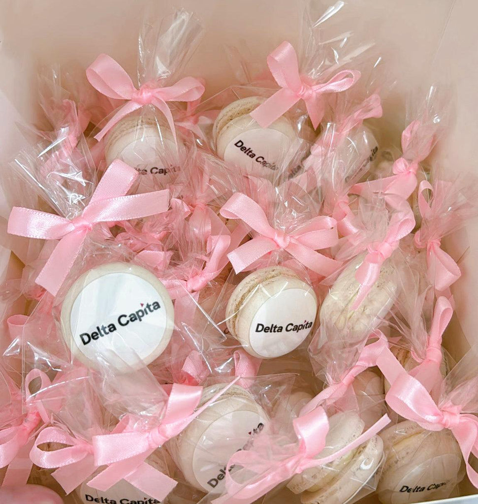 Macaron Favor/Macaron Door Gift/Macaron Wedding Favor